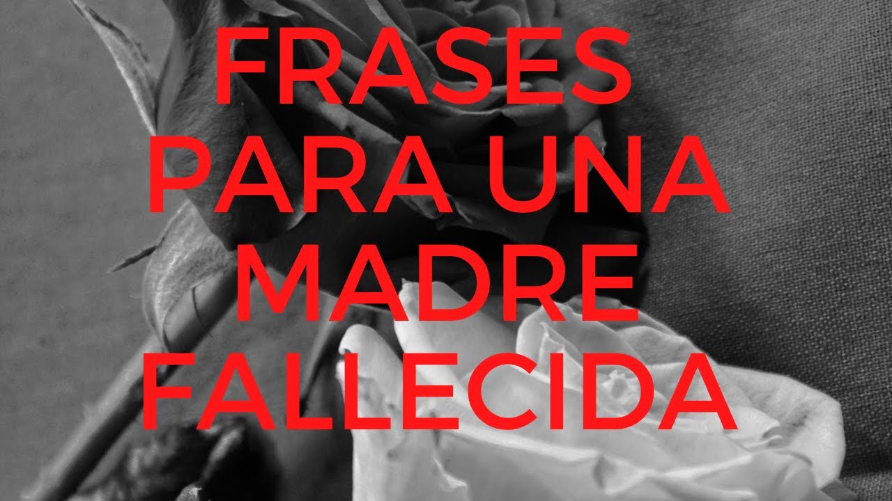 frases para madres que no estan