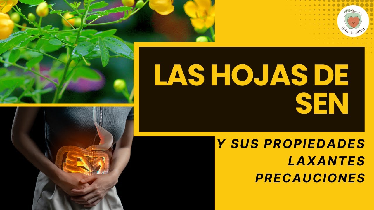 hoja de sen para q sirve