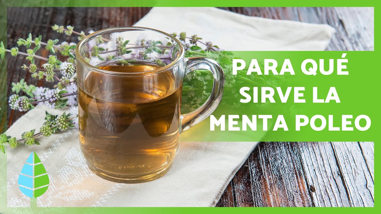infusion poleo menta para que sirve