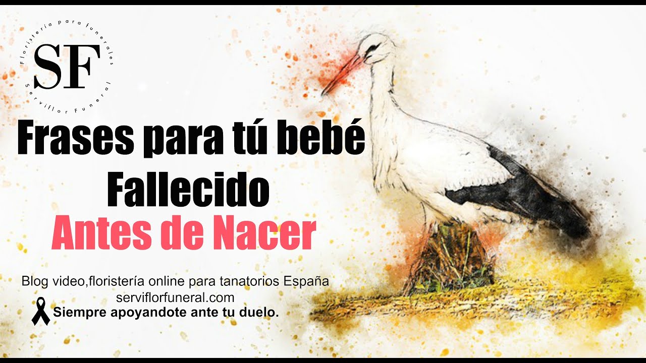luto frases para un bebe fallecido