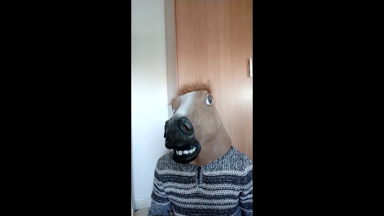 media de longitud del miembro viril españa