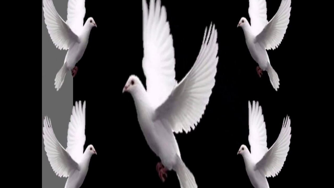 mis condolencias para toda la familia