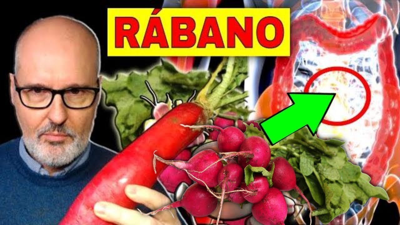 para que es bueno el rabano