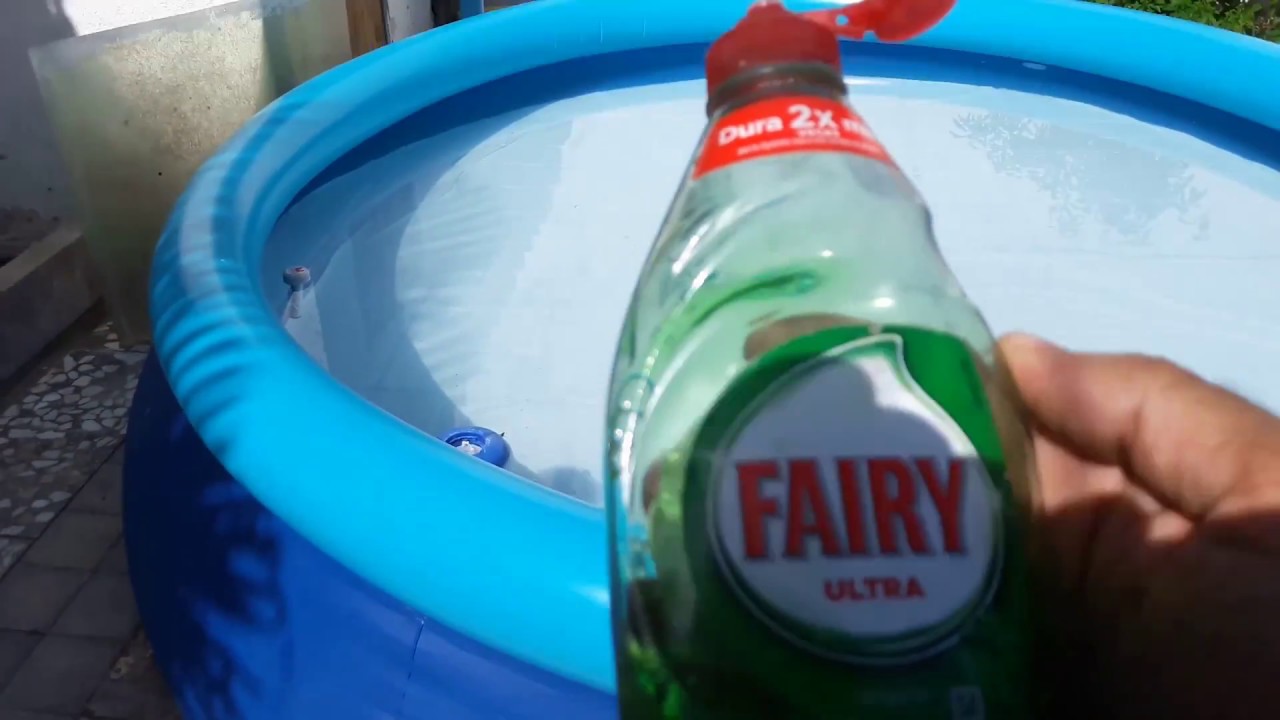 porque hay avispas en la piscina