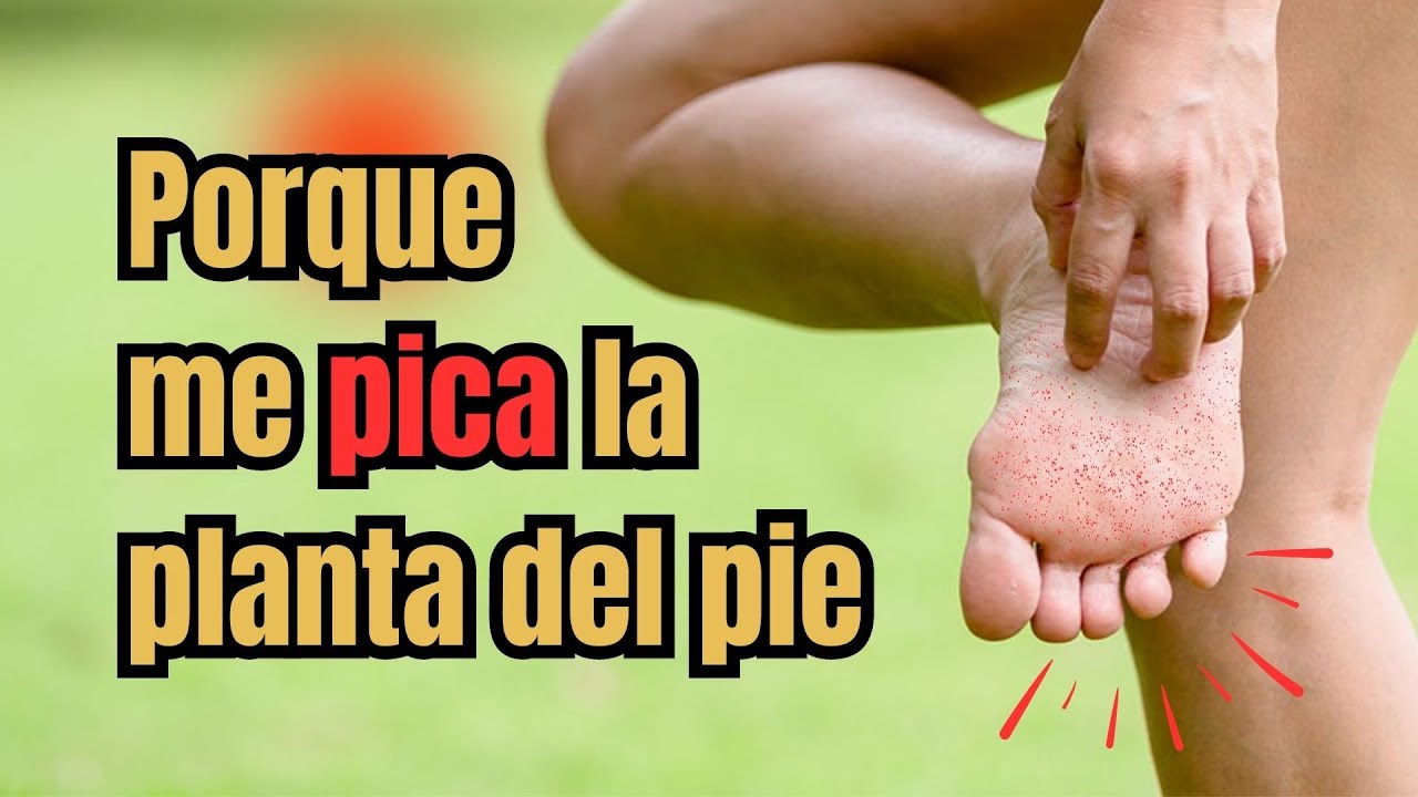 que significa que te pique la planta del pie