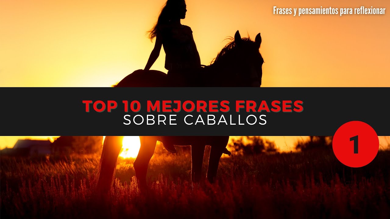 reflexion frases de caballos y personas